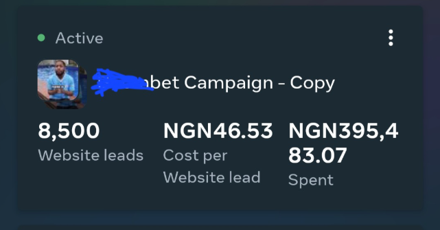 Ad Campaign Results